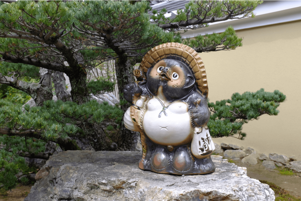 tanuki